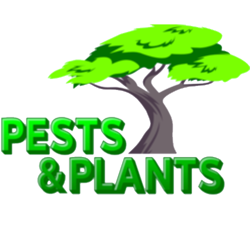 Pests and Plants